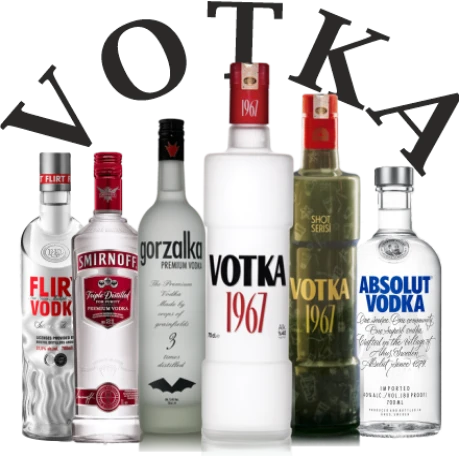 VODKA ÇEŞİTLERİ
